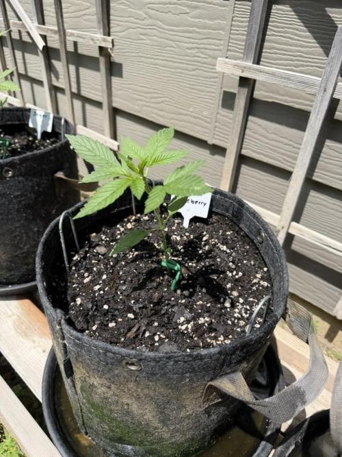Outdoor Spring 2026. Week 3