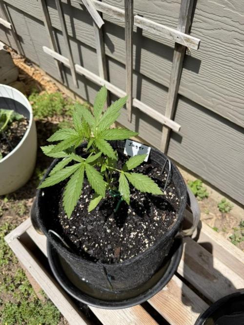 Outdoor Spring 2026. Week 3