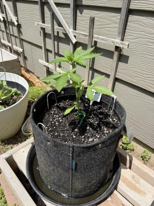 Outdoor Spring 2026. Week 3