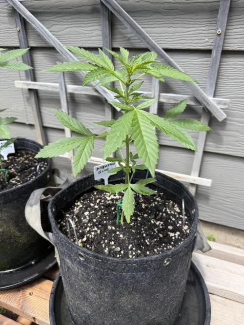 Outdoor Spring 2026. Week 4