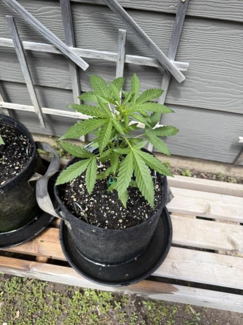 Outdoor Spring 2026. Week 4