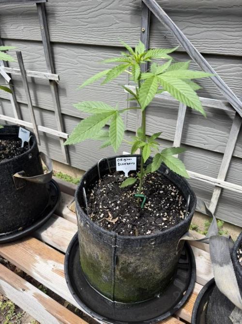 Outdoor Spring 2026. Week 4