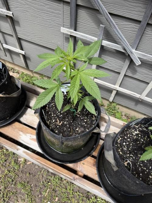 Outdoor Spring 2026. Week 4