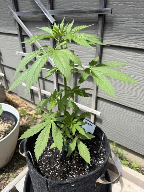 Outdoor Spring 2026. Week 4