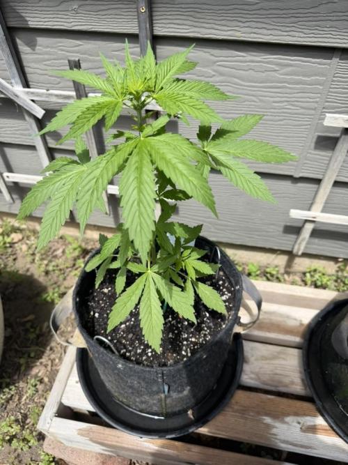 Outdoor Spring 2026. Week 4