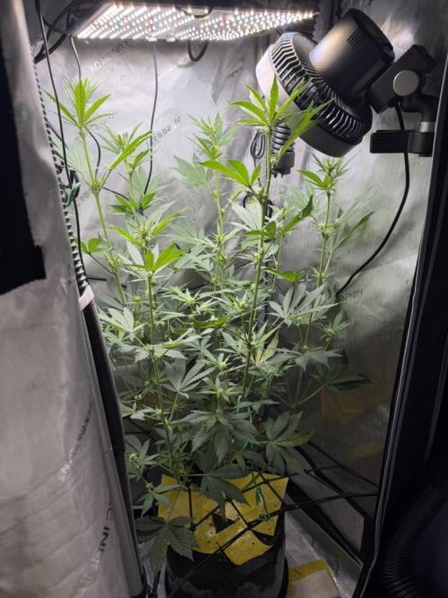 Indoor Spring 2026. Week 6