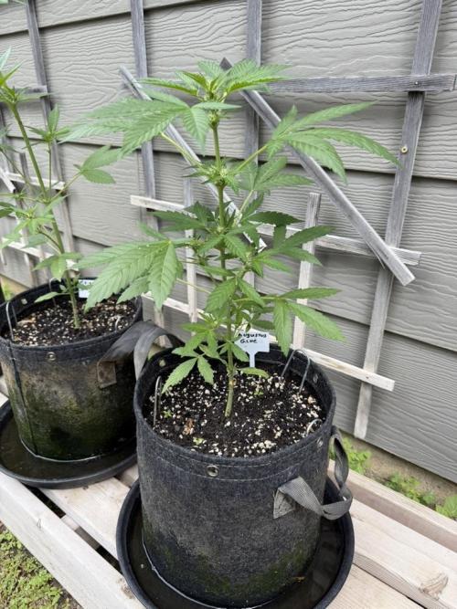 Outdoor Spring 2026. Week 5