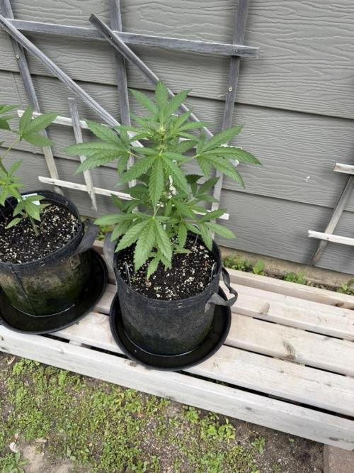 Outdoor Spring 2026. Week 5