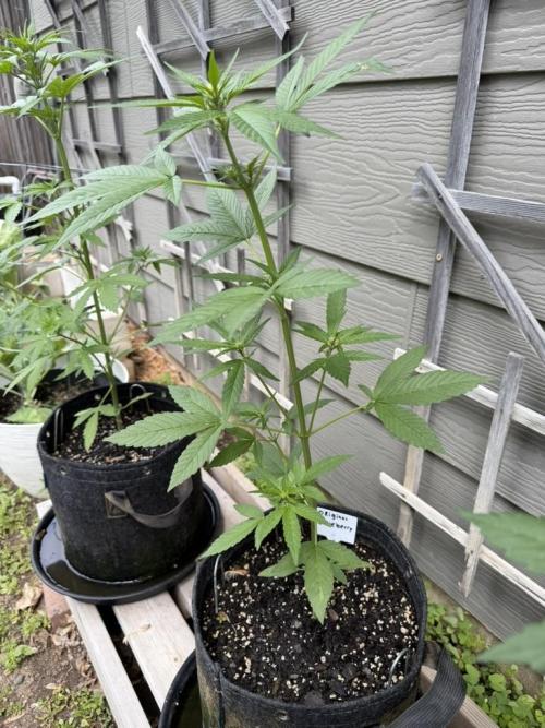 Outdoor Spring 2026. Week 5