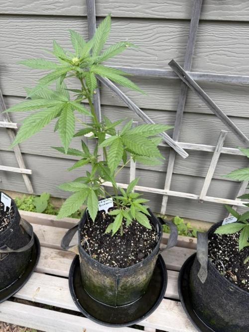 Outdoor Spring 2026. Week 5