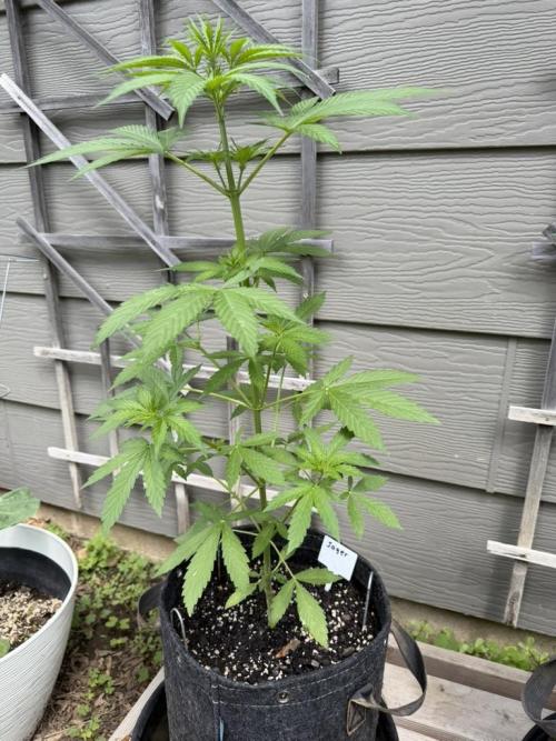 Outdoor Spring 2026. Week 5