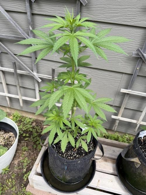 Outdoor Spring 2026. Week 5