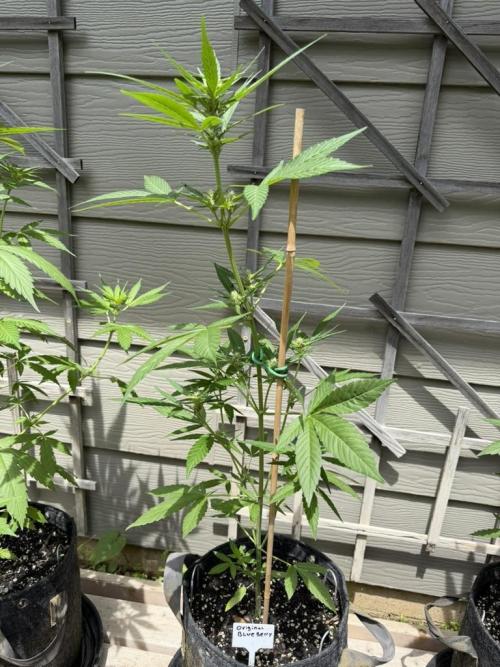Outdoor Spring 2026. Week 6