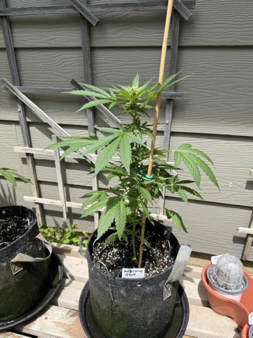 Outdoor Spring 2026. Week 6