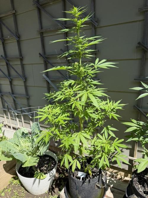Outdoor Spring 2026. Week 7