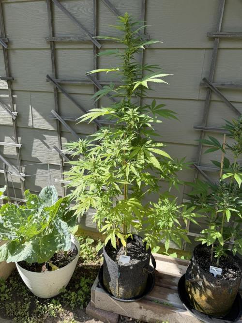 Outdoor Spring 2026. Week 8