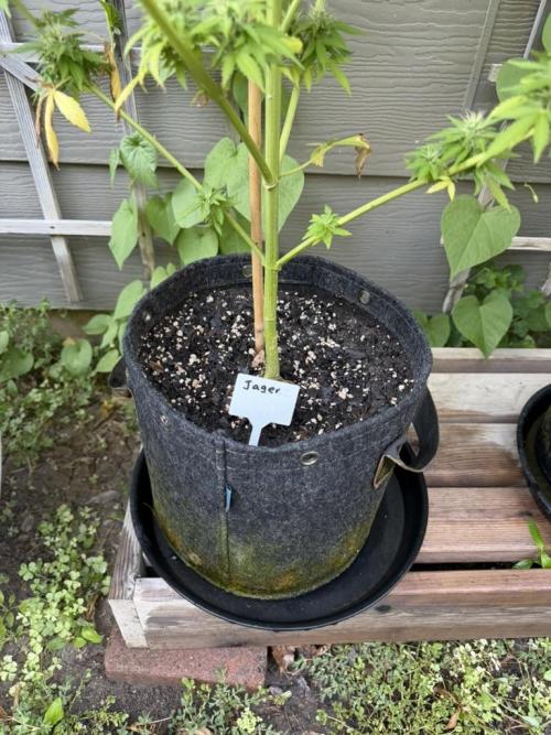 Outdoor Spring 2026. Week 10