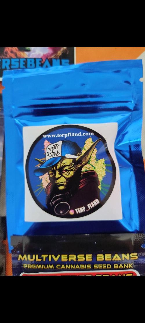 No Training Wheels by TerpFi3nd. Week 1