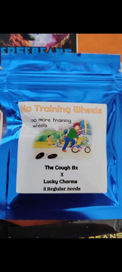 No Training Wheels by TerpFi3nd. Week 1