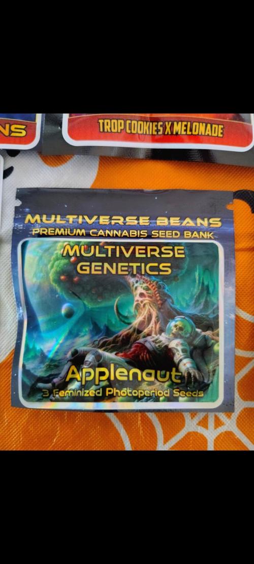 APPLENAUT (Dirty Sanchez X Wedding Cake). Week 1