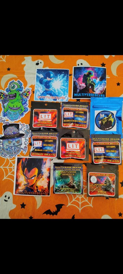 APPLENAUT (Dirty Sanchez X Wedding Cake). Week 1