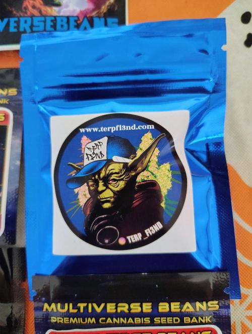 No Training Wheels by TerpFi3nd. Week 2