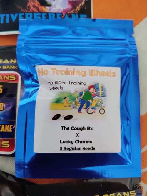 No Training Wheels by TerpFi3nd. Week 2