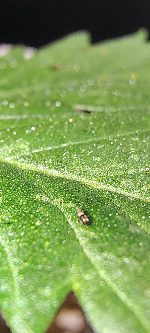 No Training Wheels by TerpFi3nd. Week 3