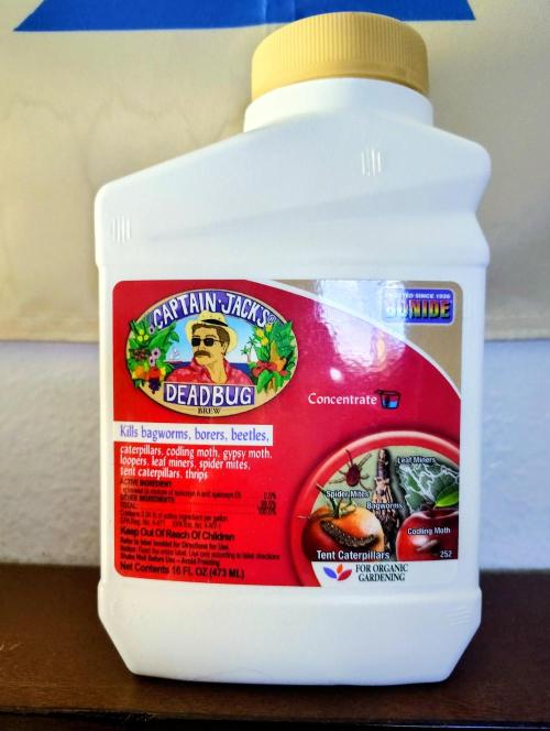 No Training Wheels by TerpFi3nd. Week 9