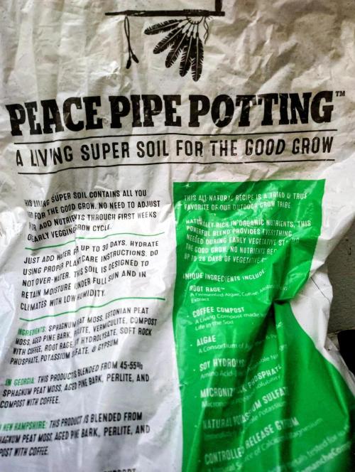 No Training Wheels by TerpFi3nd. Week 9