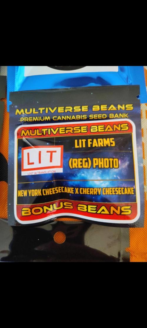 NY CHEESECAKE X CHERRY CHEESECAKE. Week 0