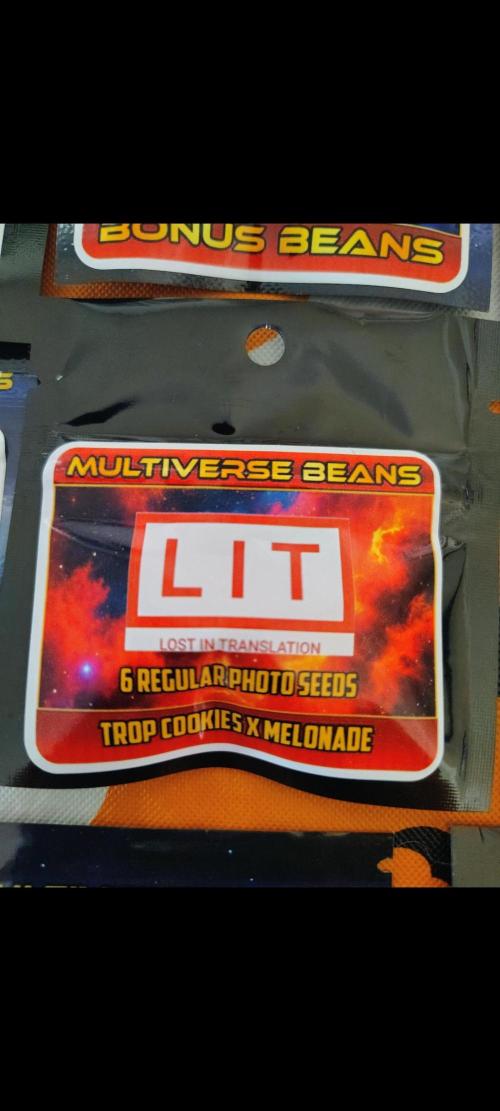 Trop Cookies X Melonade. Week 0