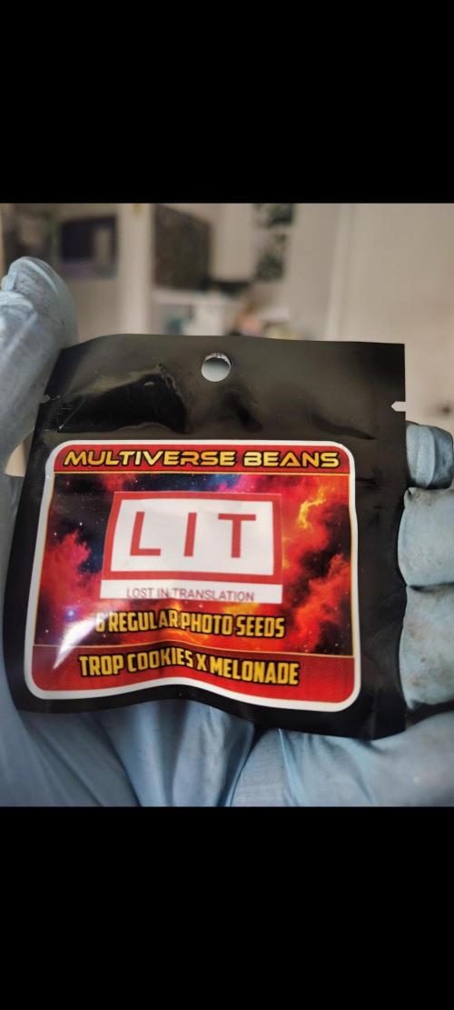 Trop Cookies X Melonade. Week 0