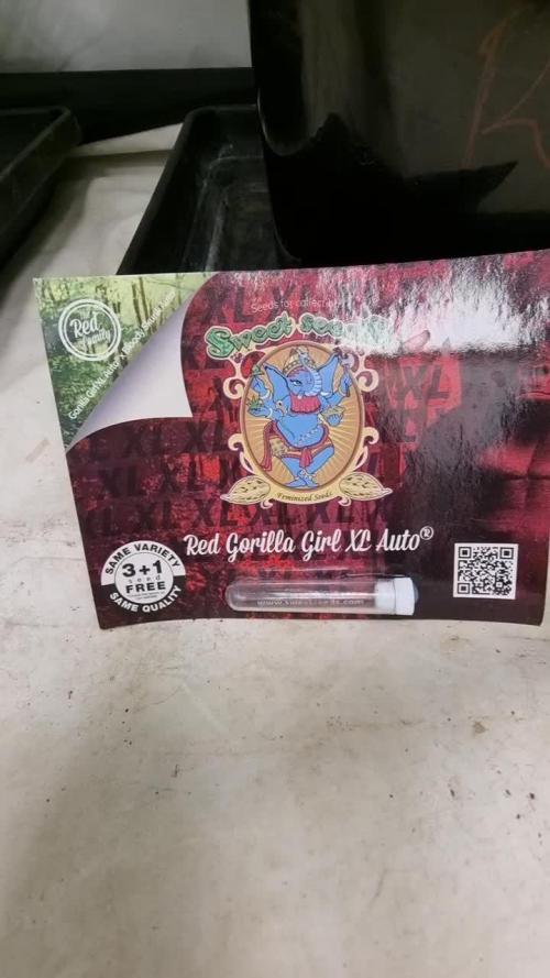 Sweet Seeds Red Gorilla Girl XL Auto