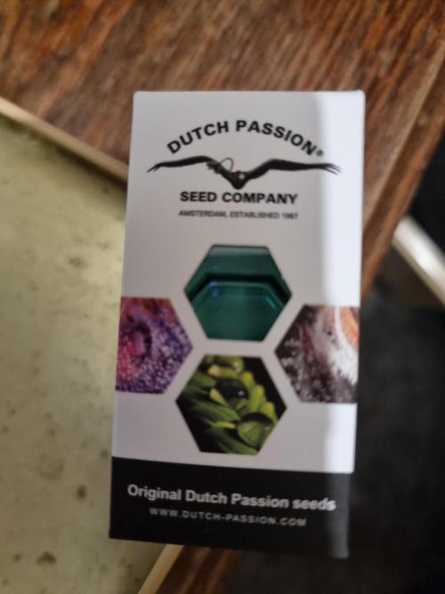 Blue zushi. dutch passion.. Week 0 - Day 1
01/01/26