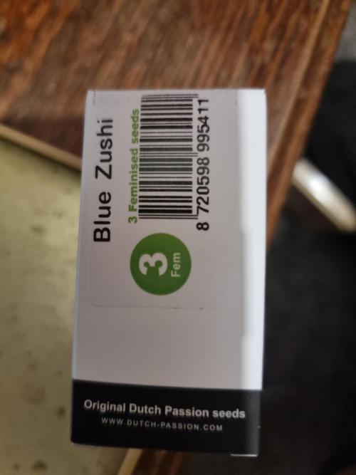 Blue zushi. dutch passion.. Week 0