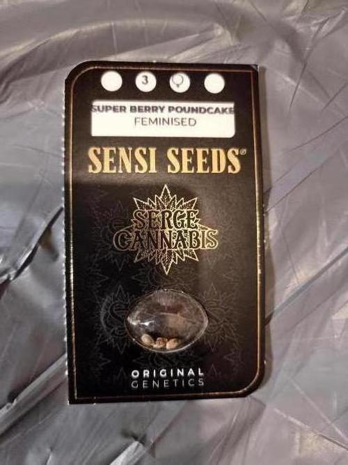 Super berry poundcake. SENSI SEEDS.. Week 0 - The pack.