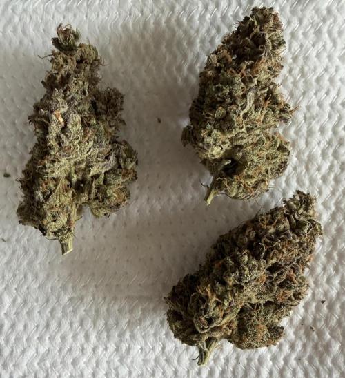 Glitter Gas/Peyote Zkittlez. Week 21