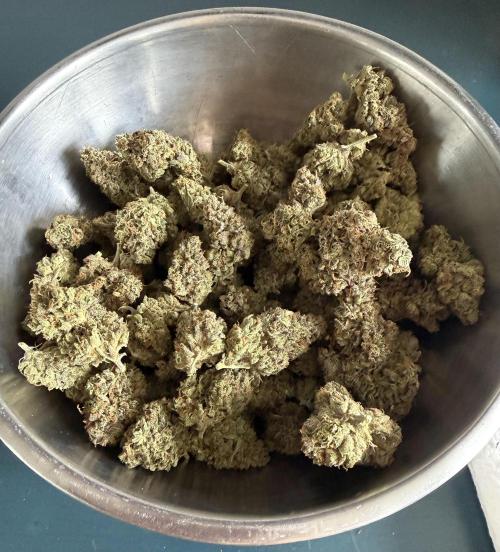 Glitter Gas/Peyote Zkittlez. Week 21
