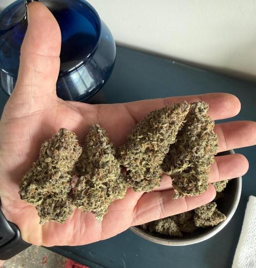 Glitter Gas/Peyote Zkittlez. Week 21