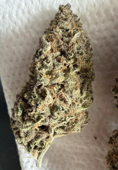 Glitter Gas/Peyote Zkittlez. Week 21