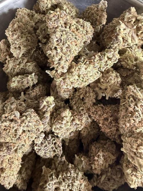 Glitter Gas/Peyote Zkittlez. Week 21