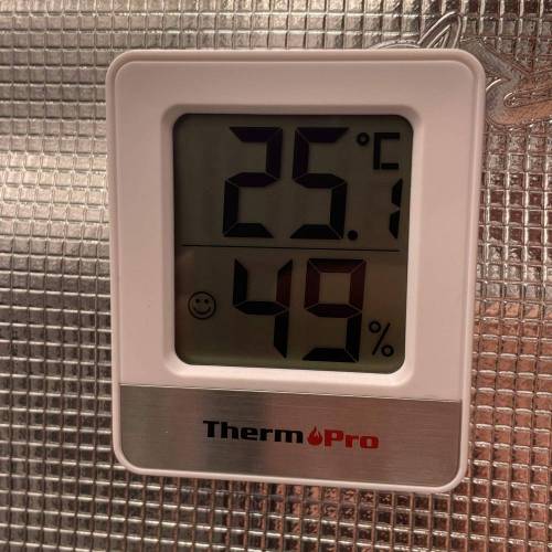 Rum Punch 1.0. Pambele 1,0 Rum Punch 2.0. Week 0