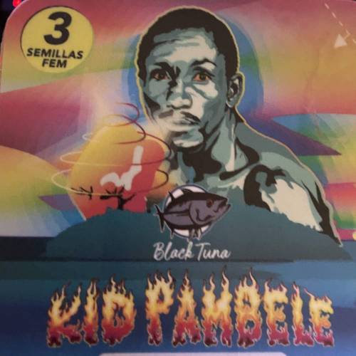 Rum Punch 1.0. Pambele 1,0 Rum Punch 2.0. Week 0