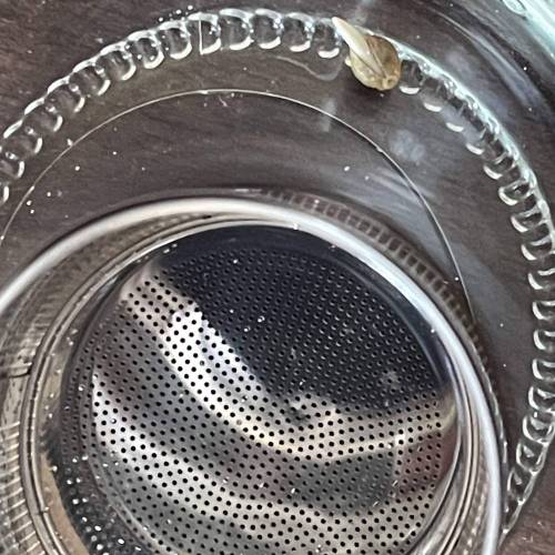 Rum Punch 1.0. Pambele 1,0 Rum Punch 2.0. Week 0 - Pambele in center and punch 1.0 outside