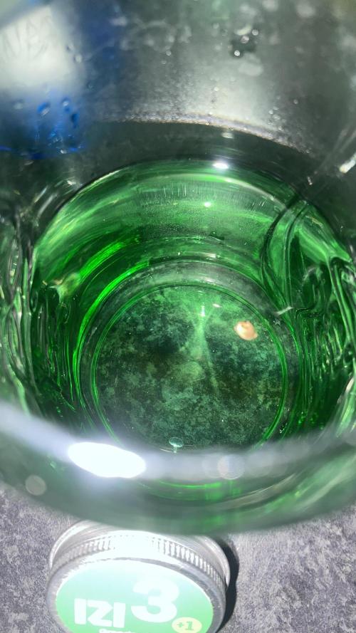 Grandpa Zombie Genetics Fem - Izi Farms. Week 0 - 7/1/2025 