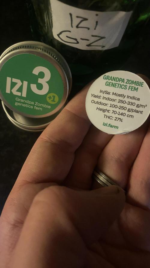 Grandpa Zombie Genetics Fem - Izi Farms. Week 0 - 7/1/2025 