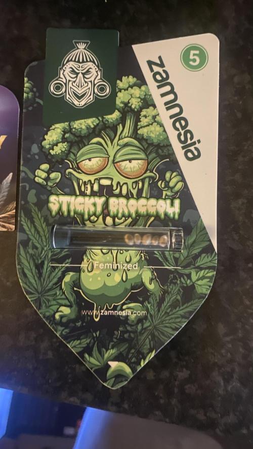 Eternity Growcup 2026 - Sticky Broccoli. Week 0 - 7/1/2026