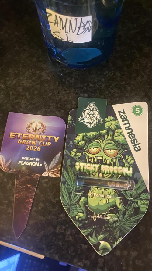 Eternity Growcup 2026 - Sticky Broccoli. Week 0 - 7/1/2026