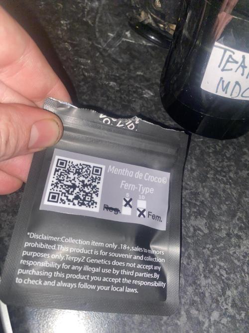 Mentha De Croco - TerpyZ. Mutant. Week 0